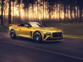 2021 Bentley Mulliner Bacalar - Технические характеристики, Расход топлива, Габариты